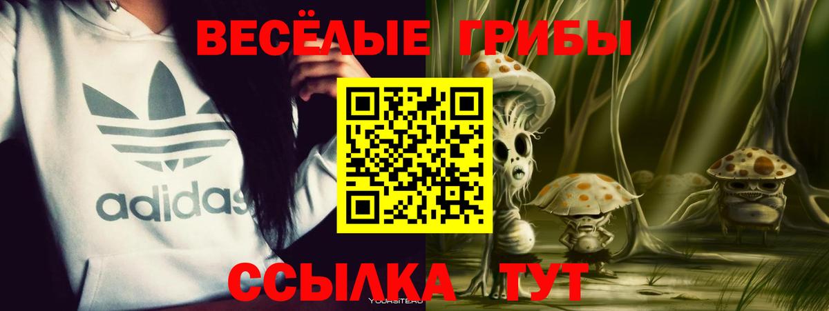 Псилоцибиновые грибы MAGIC MUSHROOMS Соликамск